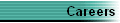 Careers